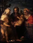 Andrea del Sarto Madonna and Child with Sts Catherine, Elisabeth and John the Baptist oil painting